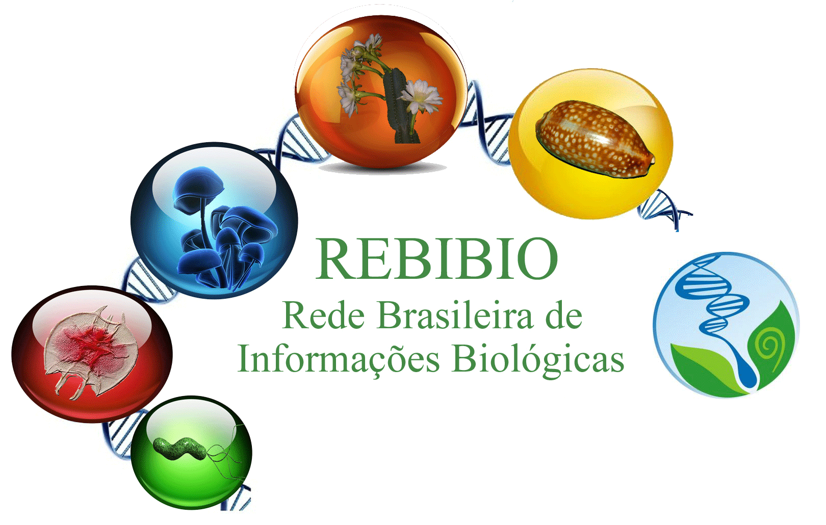 Rebibio - Rede Brasileira de Informacoes Biologicas